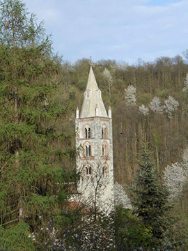campanileusato